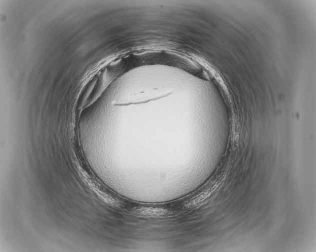 X0000085830437200704091702