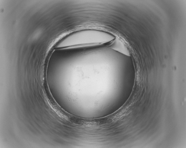 X0000085830438200704091702