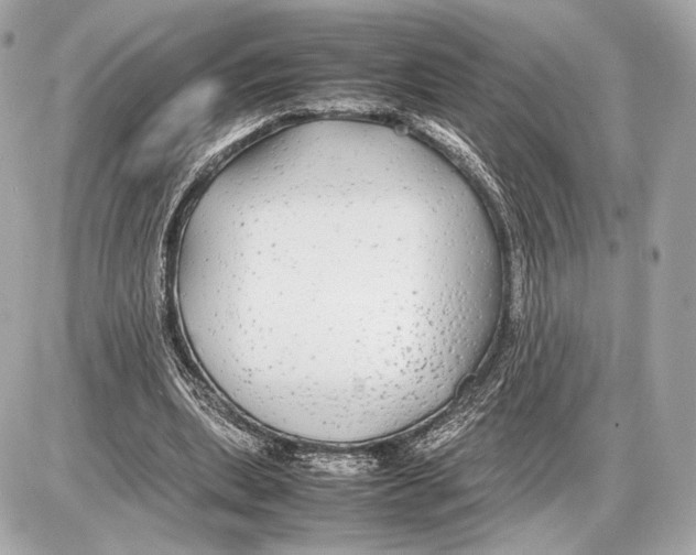 X0000085830439200704091702