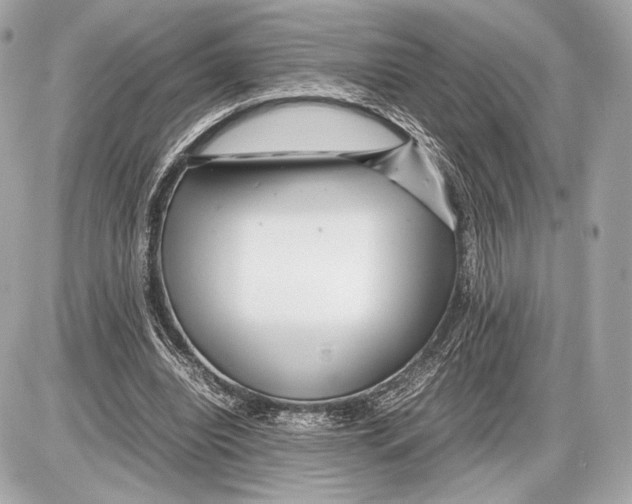 X0000085830440200704091702