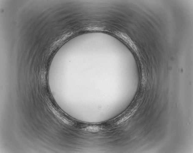 X0000085830441200704091702