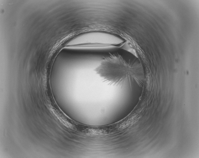 X0000085830442200704091702