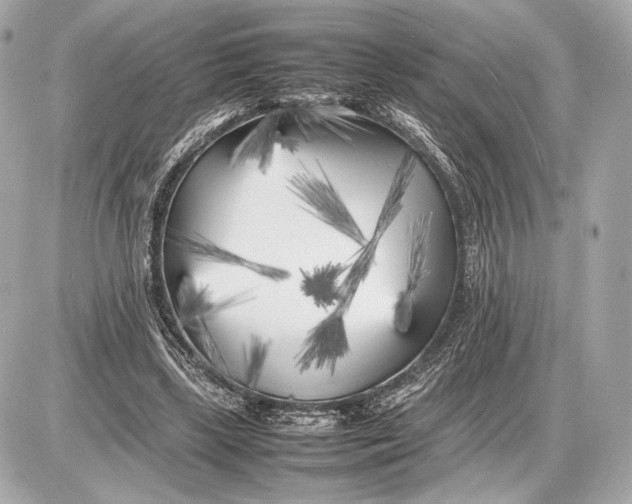 X0000085830443200704091702