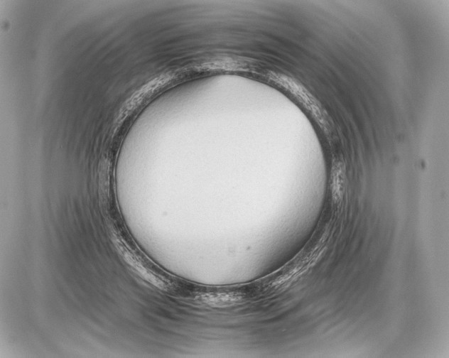 X0000085830445200704091702