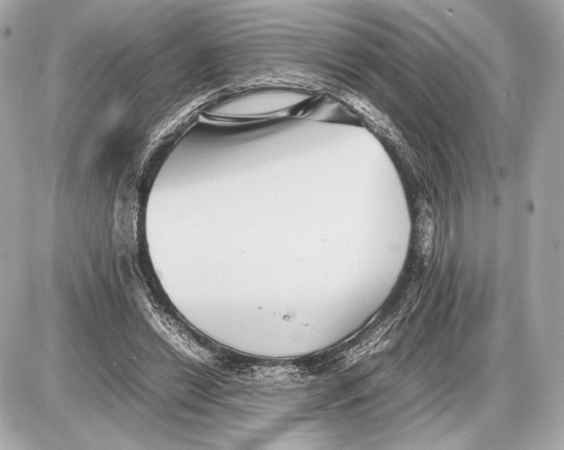 X0000085830446200704091702