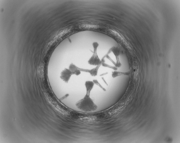 X0000085830447200704091702