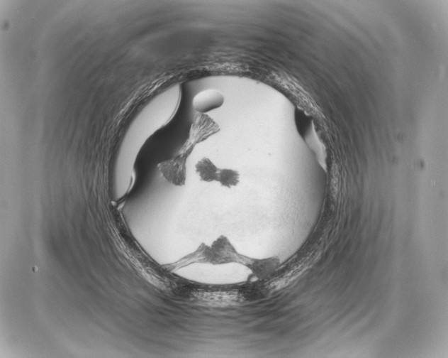 X0000085830449200704091702