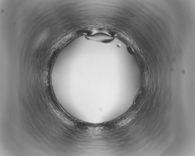 X0000085830450200704091702