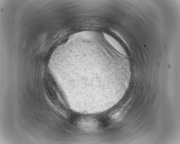 X0000085830451200704091702