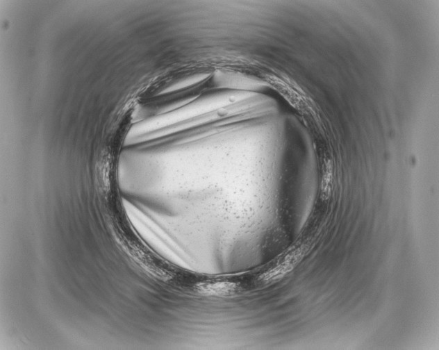 X0000085830452200704091702