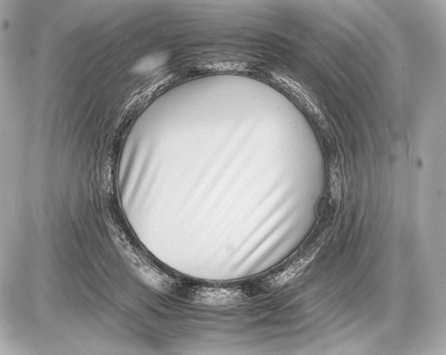 X0000085830453200704091702