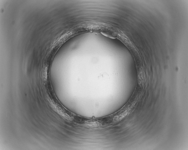 X0000085830454200704091702