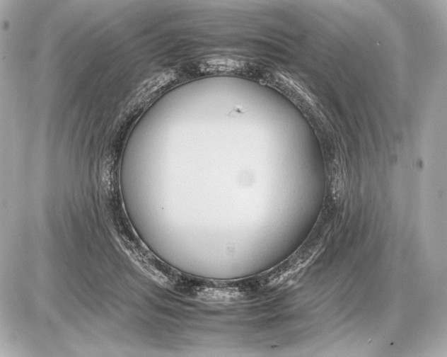 X0000085830455200704091702