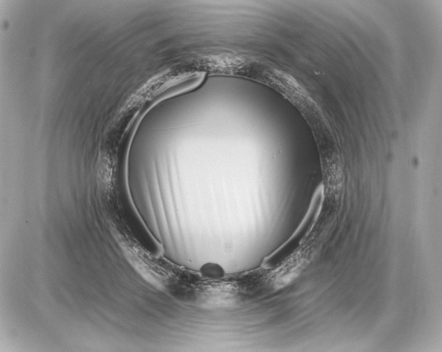 X0000085830456200704091702