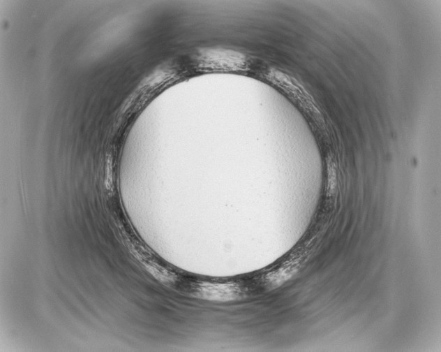 X0000085830457200704091702