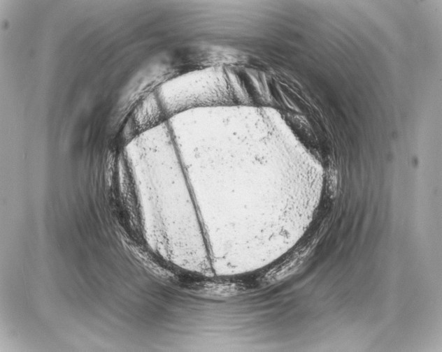 X0000085830458200704091702