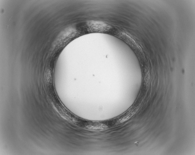 X0000085830459200704091702