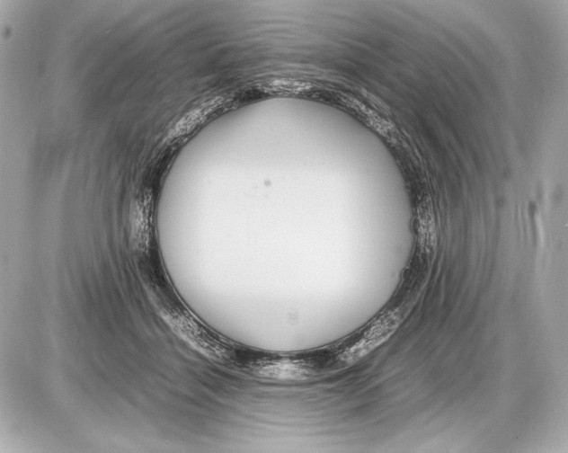 X0000085830460200704091702