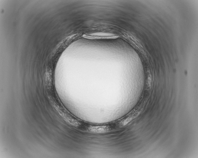 X0000085830461200704091702