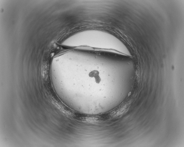 X0000085830462200704091702