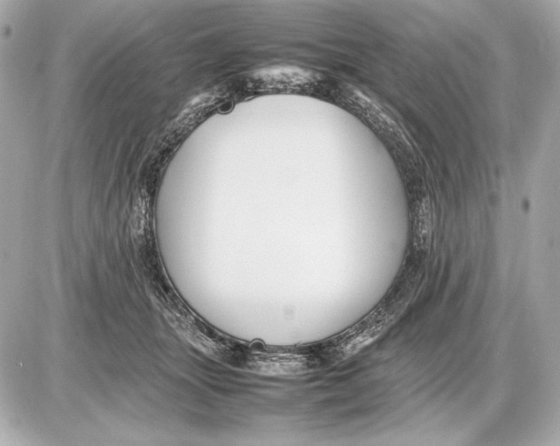 X0000085830463200704091702