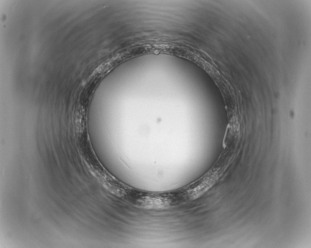 X0000085830464200704091702