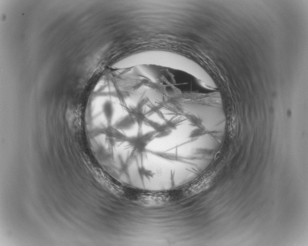 X0000085830466200704091702