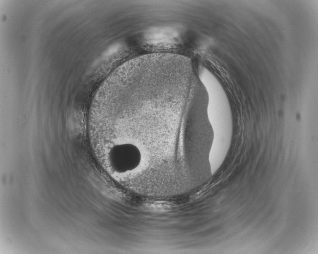 X0000085830467200704091702