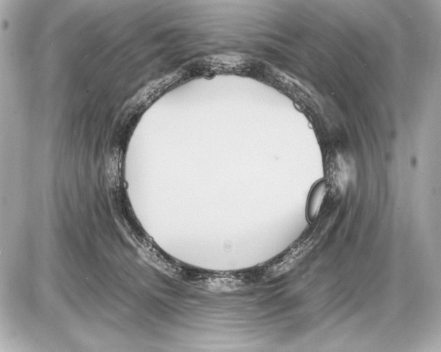 X0000085830468200704091702