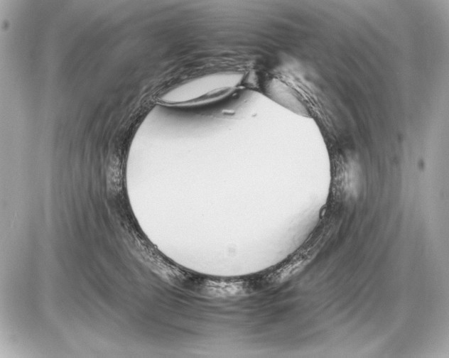 X0000085830469200704091702