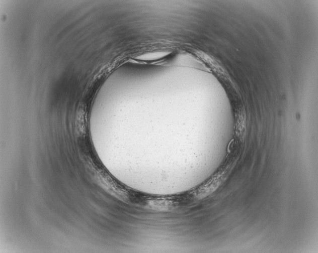 X0000085830470200704091702