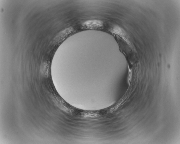 X0000085830471200704091702