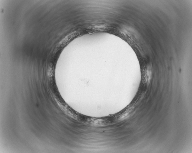 X0000085830472200704091702