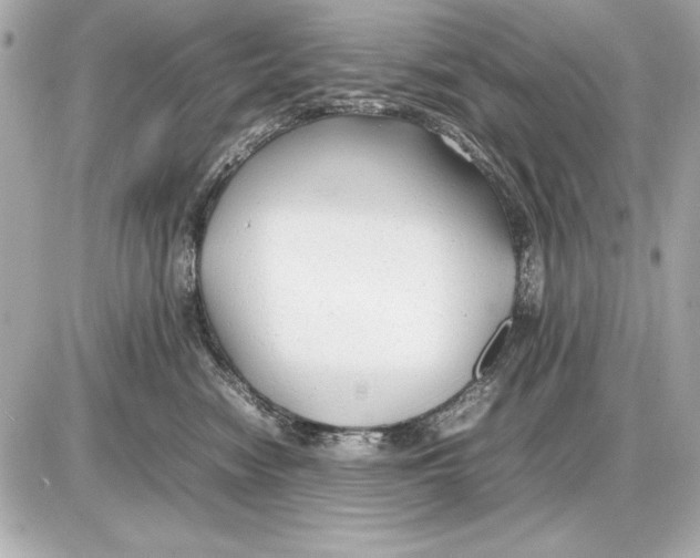 X0000085830474200704091702