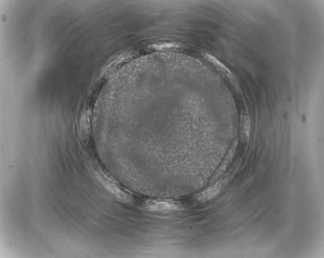 X0000085830475200704091702