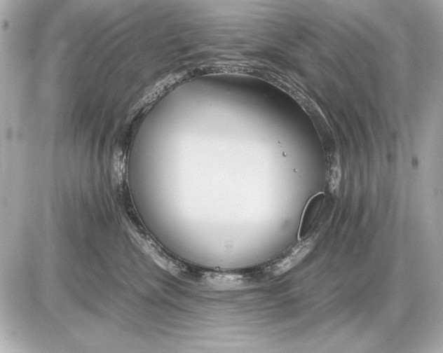 X0000085830476200704091702