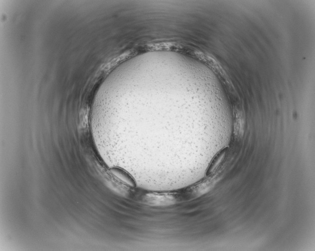 X0000085830477200704091702