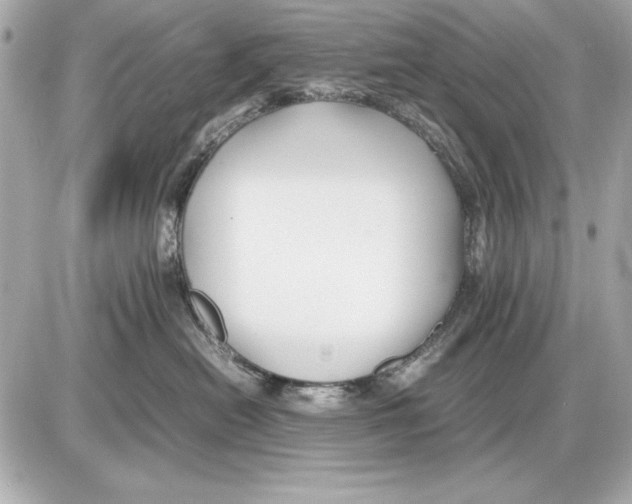 X0000085830478200704091702