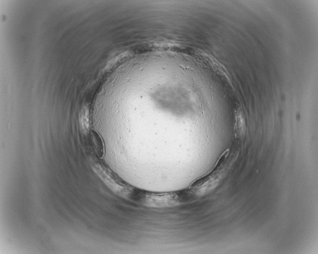 X0000085830479200704091702