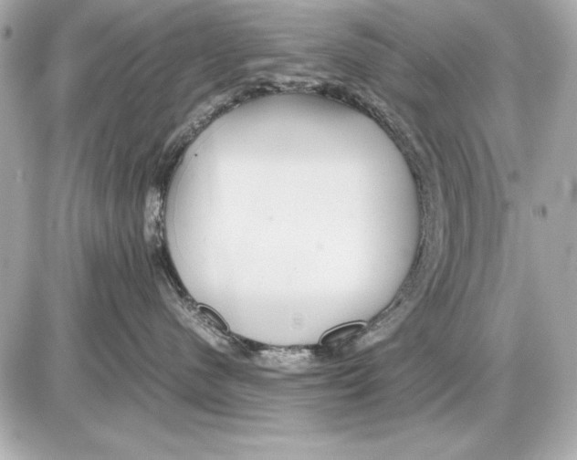 X0000085830480200704091702