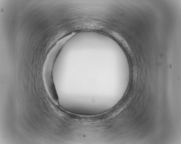 X0000085830481200704091702