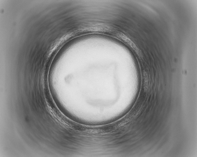 X0000085830482200704091702