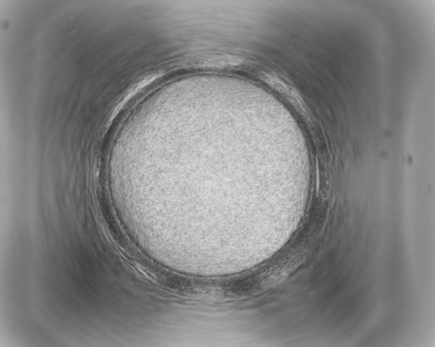 X0000085830483200704091702