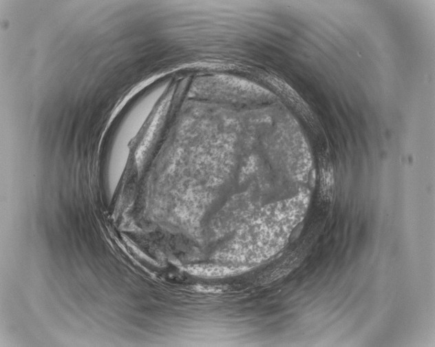 X0000085830484200704091702