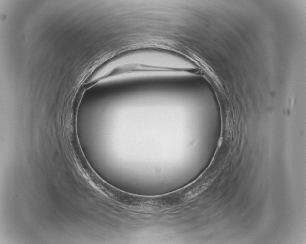 X0000085830485200704091702