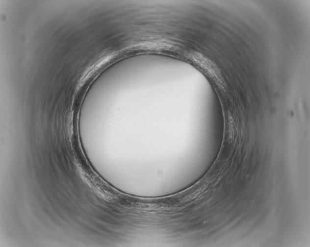 X0000085830486200704091702