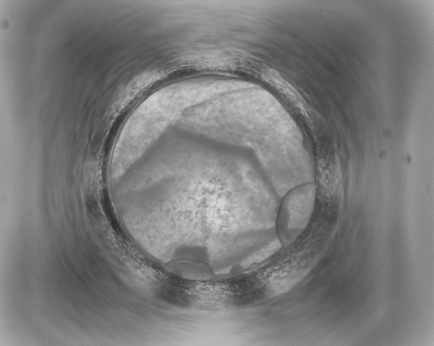 X0000085830487200704091702