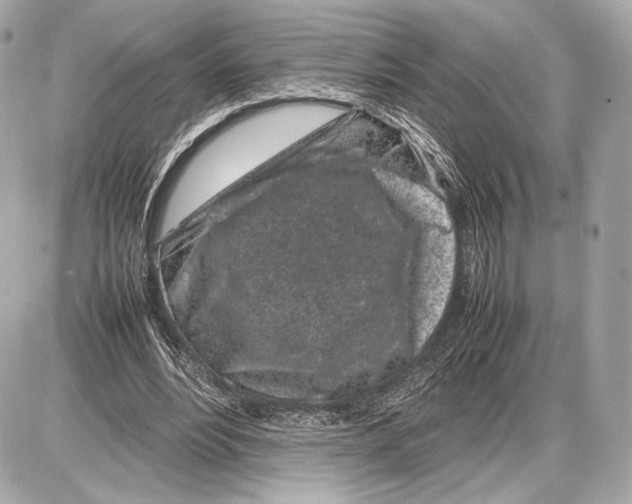 X0000085830488200704091702