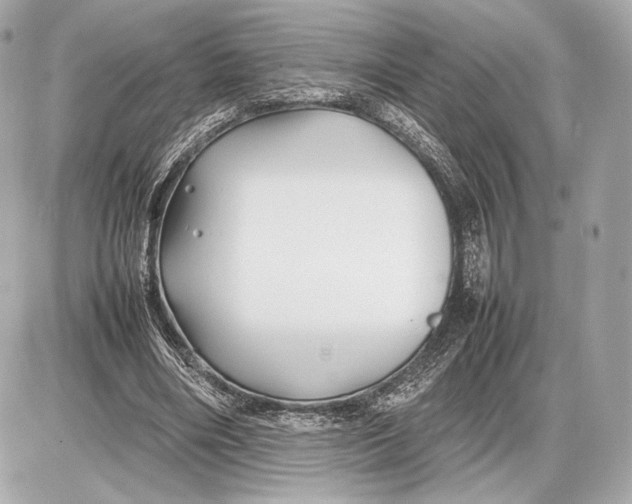 X0000085830490200704091701