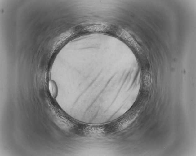 X0000085830491200704091701